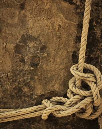 rope frame on the treeの写真素材
