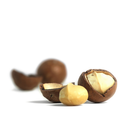 macadamia nuts on white backgroundの写真素材