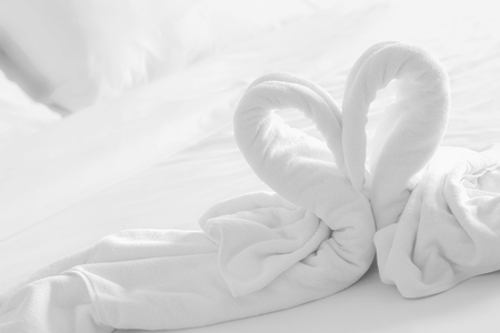 white swan heart shape towelsの写真素材
