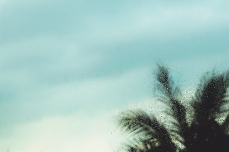 raindrops on window glass with sky and tree background