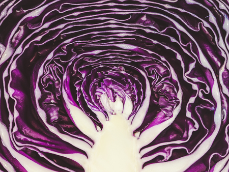 red cabbage close up backgroundの写真素材