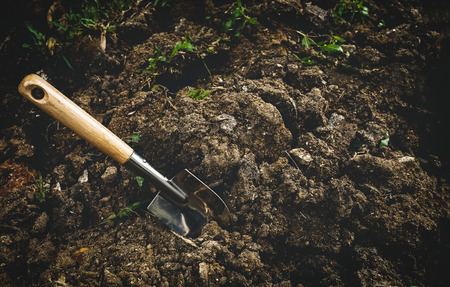 gardening tool on soil backgroundの写真素材