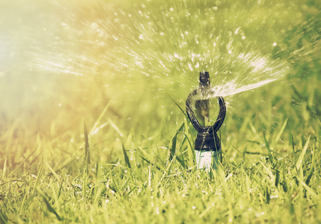 automatic sprinkler watering green grassの写真素材