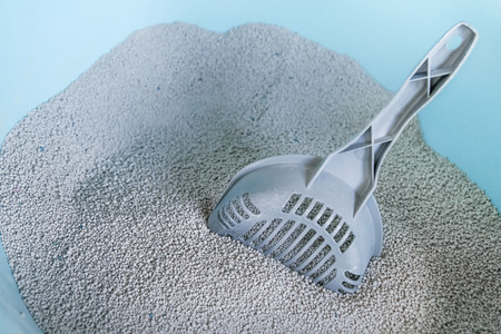 sand cat litter box with scoopの写真素材