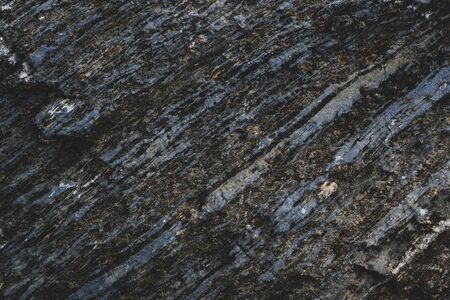 surface texture of rock backgroundの写真素材