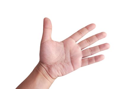 palm of the hand isolated on white background                    の写真素材