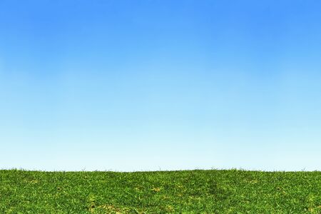 landscape of green grass hill and blue sky backgroundの写真素材