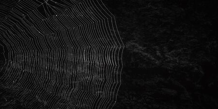 spider web and dark stone cave. black panorama backgroundの写真素材