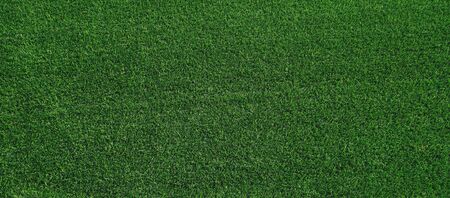 texture of artificial green grass. top view panorama background.の写真素材