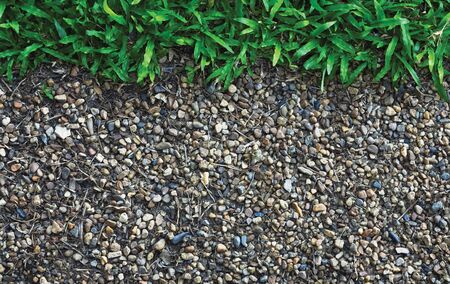 grass with pebble stone background. gardening and decorative groundの写真素材