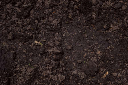 fertile ground is loosened for cultivation. fresh loam soil background.の写真素材