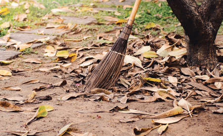 A broom for sweeping the fallen leaves under the tree.の写真素材