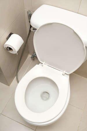 Tissue paper roll and ceramic toilet bowl in the washroom.