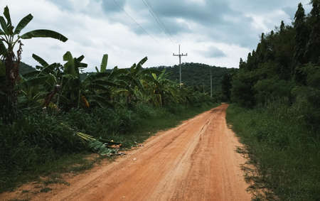 A trail through the gardens and nature to the mountains. Rural dirt road far from the city. Gravel road with electricity pole in countryside landscape.の写真素材