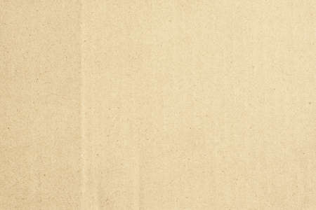 Brown cardboard background. The old paper for recycling. Carton texture. Art and craft concept. Grainy paperboard. Paper Box packaging surface. Simple and minimal backdrop.の写真素材