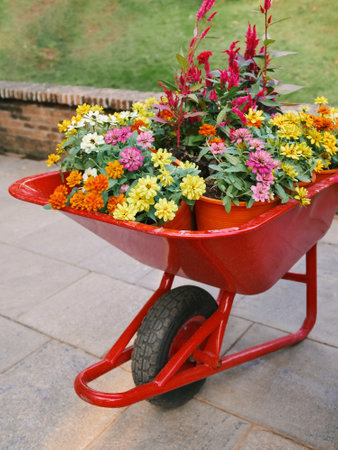 Flower gardening. The colorful season of spring flowers.の写真素材