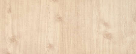 Wood pattern texture for background. Wooden surface banner backdrop.の写真素材