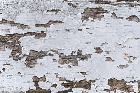The white paint on the old wood is peeling off. Background of the weathered wall.の写真素材