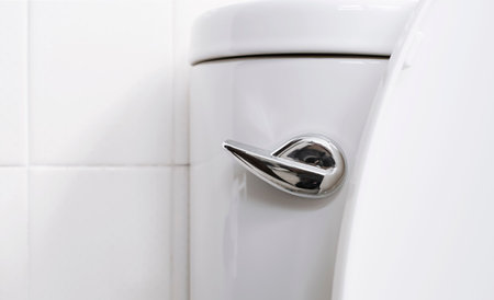 Handle of flush toilet. Press for cleaning and hygiene. Concept of flushing away something.の写真素材