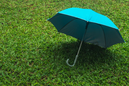 Blue umbrella on a wet lawn. Greenery grass in rainy season. Pure natural and freshnessの写真素材