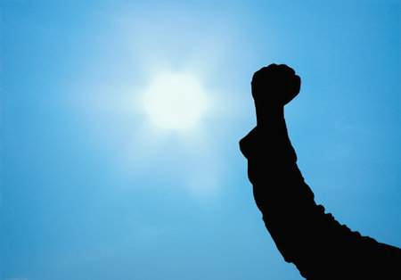 Hand raised against the backdrop of the bright blue sky and sun. Silhouette raising a fist. Motivation and determination. Get up and fight. Bravery man.の写真素材