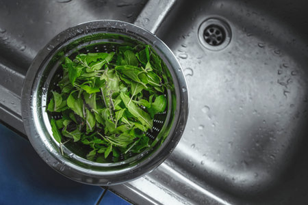Wash the basil leaves. Preparation of food ingredient for cooking.