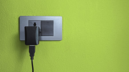 Plug electrical appliances into wall sockets. Household electricity consumption.