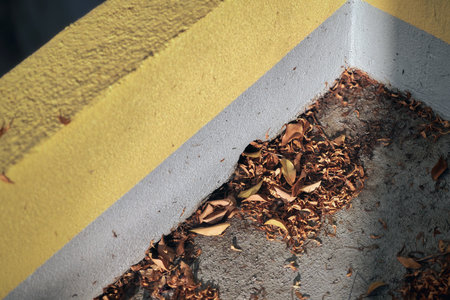 Dry leaves accumulated and clog around a small drainage hole on a concrete rooftop floor, showing seasonal change, lack of maintenanceの写真素材