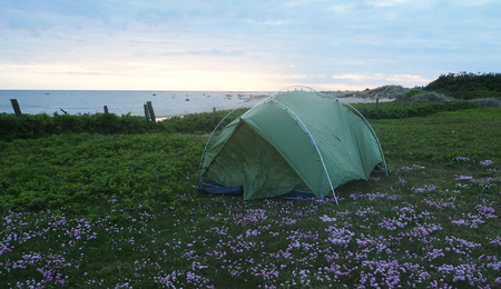 wild camping in swedenの写真素材