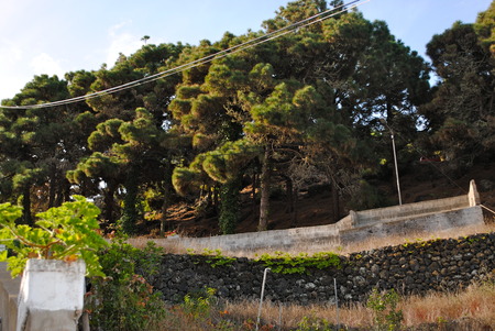 Landscape.の写真素材