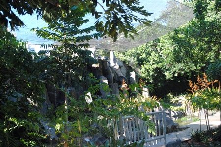 Landscape.の写真素材