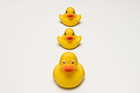 Face forward.の写真素材