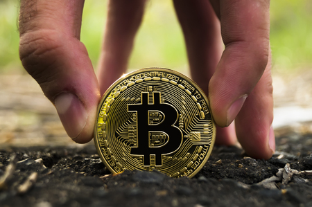 New crypto currency, bitcoin and computer fee finance financeの写真素材