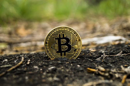 New crypto currency, bitcoin and computer fee finance financeの写真素材