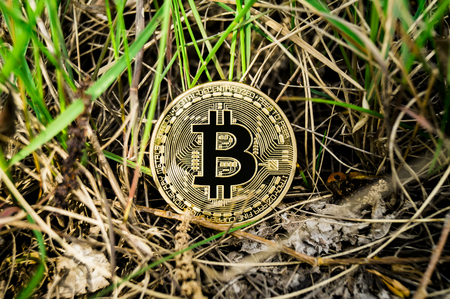 New crypto currency, bitcoin and computer fee finance financeの写真素材