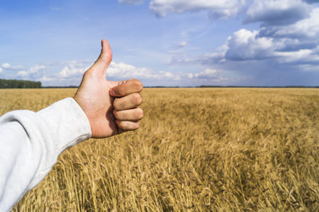 The hand shows the sign like because of a good harvest of wheatの写真素材