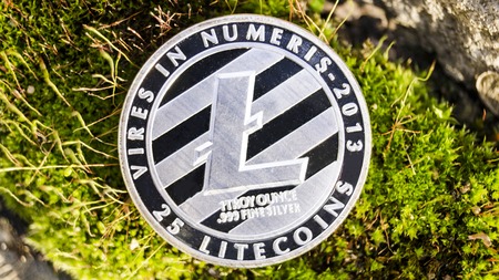 Litecoin is a modern way of exchange and this crypto currency is a convenient means of payment in the financial and web marketsの写真素材