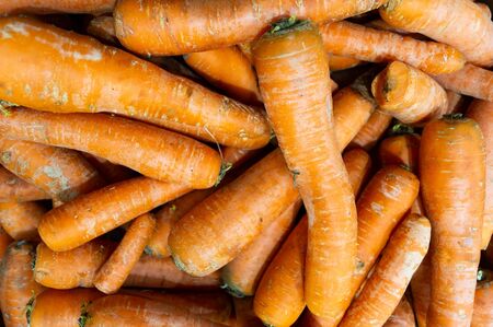 A lot of carrots are in a drawer in the store. Vegetable harvest and healthy food