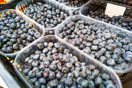 Blueberries are on show in a store in a container. close-up imageの写真素材