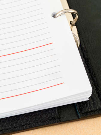 An open page of the diary for recording information. close-up image