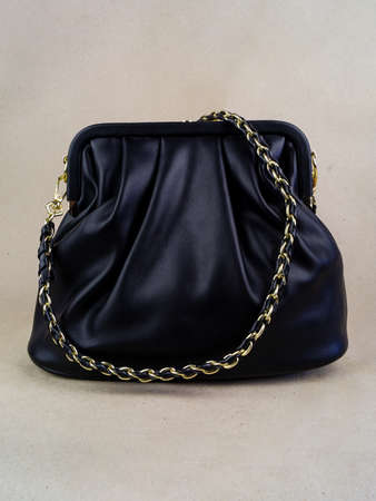 A beautiful women's bag stands on a paper background. small bagの写真素材