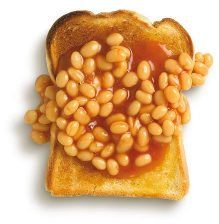 beans on toast, student meal on a white background shot from overheadの写真素材