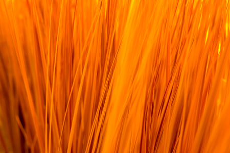 Close up texture of artificial grass with shallow depth of field , abstract backgroundの写真素材