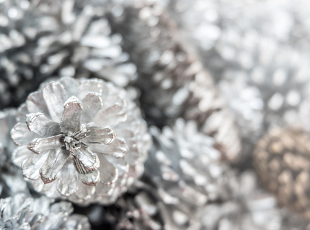 Close up silver pine cones texture with sunlight flare and shallow depth of fieldの写真素材