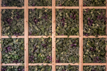 Filled frame wallpaper shot design of a modern stylish. Seamless texture of artificial green leaves...