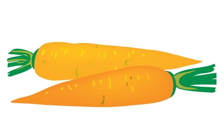 Background. Vegetables. Two carrots for designのイラスト素材
