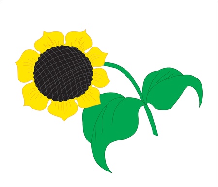 Background. A flower. A blossoming sunflower with sunflower seedsのイラスト素材