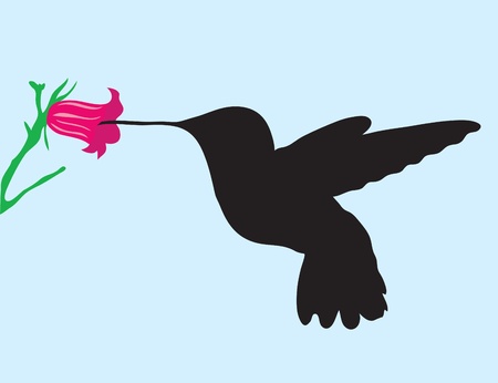 Abstract background. A silhouette of the humming-bird about a flowerのイラスト素材