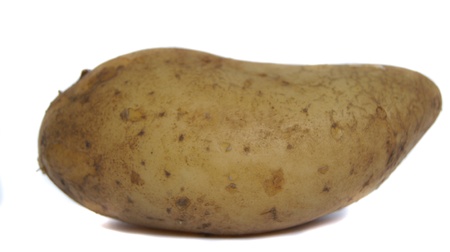 The big boiled tuber of a potato.              の写真素材