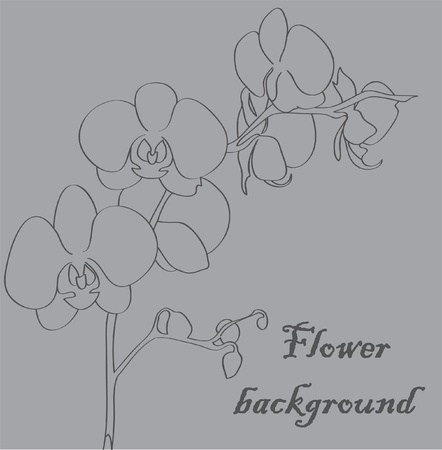 Abstract background about the flower image.のイラスト素材